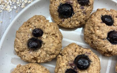 Blueberry Oatmeal Peanut Butter Cookie (Egg Free)