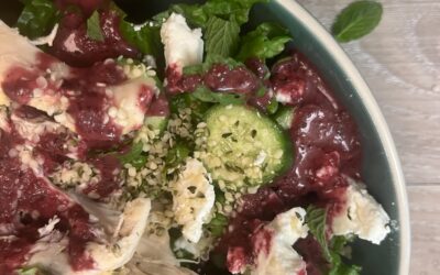 Blueberry Salad Dressing with Cucumber and Chicken Salad
