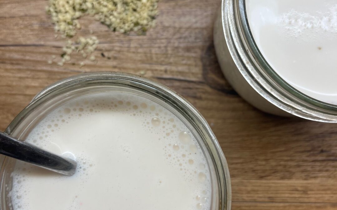 Homemade 2 ingredient Hemp Seed Milk