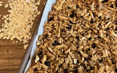 Really Good Granola with oats and dried fruit