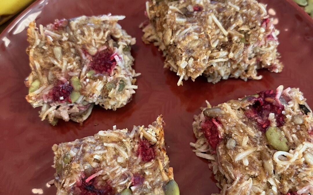 Raspberry Bars Gluten Free Dairy Free Paleo