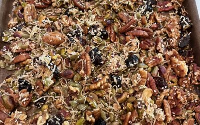 Just a Little Sweet and Salty No Grain Granola