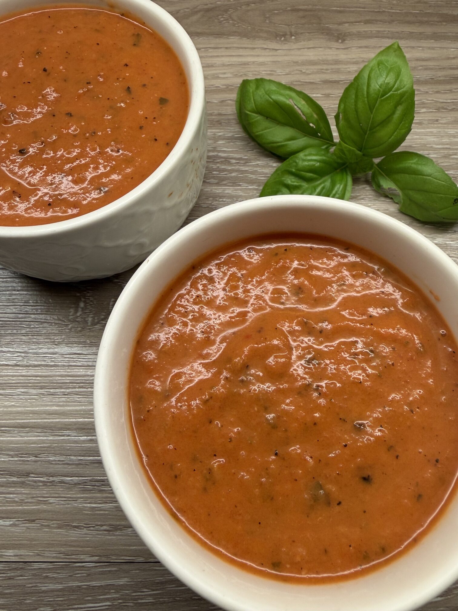 gf df tomato basil soup